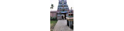 ஆதிகம்பட்ட விஸ்வநாதர்